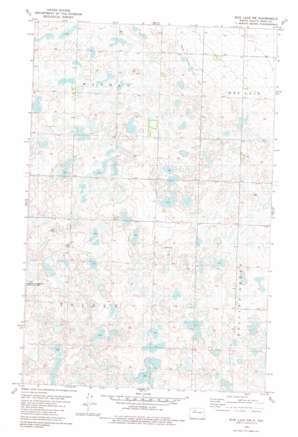 Rice Lake Nw USGS topographic map 48101b6