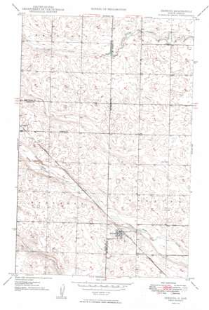 Deering USGS topographic map 48101d1