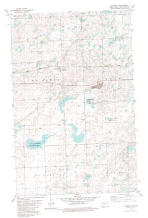 Blaisdell USGS topographic map 48102c1