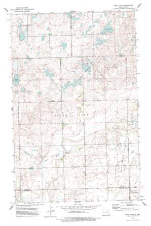 Bush Lake USGS topographic map 48102f8