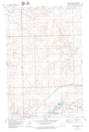 Spring Brook USGS topographic map 48103c4