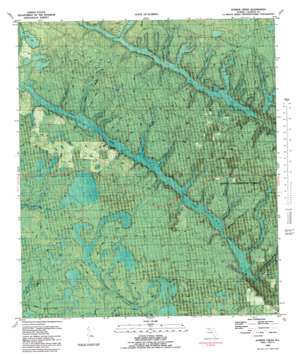 Juniper Creek USGS topographic map 30085d3