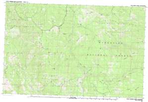 Four Corners Rock USGS topographic map 40123a1