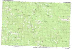Swim Ridge USGS topographic map 40123b1