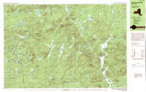 Tomany Mountain USGS topographic map 43074c5