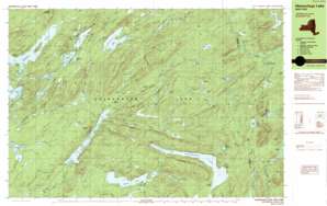 Honnedaga Lake USGS topographic map 43074e7