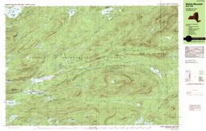 Wakely Mountain USGS topographic map 43074f5