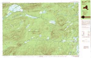 Blue Mountain Lake USGS topographic map 43074g3