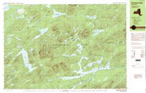 Forked Lake topo map