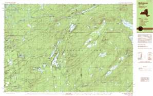 Otter Lake topo map