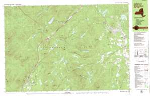 Witherbee topo map