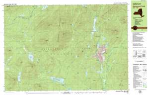 Santanoni Peak USGS topographic map 44074a1