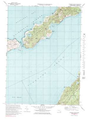 Naushon Island USGS topographic map 41070d6