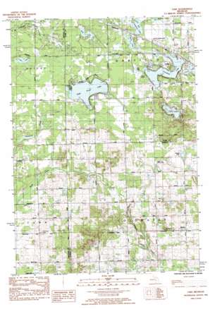 Lake USGS topographic map 43085g1