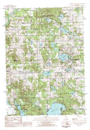 Chippewa Lake North USGS topographic map 43085g3
