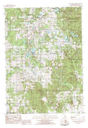 Slaybaugh Corner USGS topographic map 43085h4