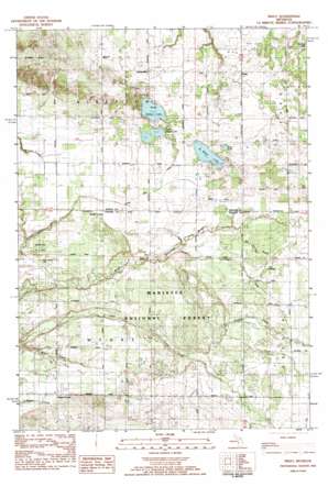 Wiley topo map