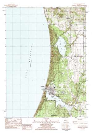 Pentwater topo map