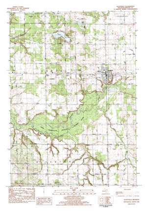 Scottville USGS topographic map 43086h3