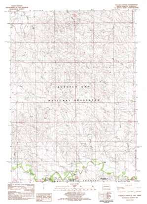 Wallace Ranch topo map