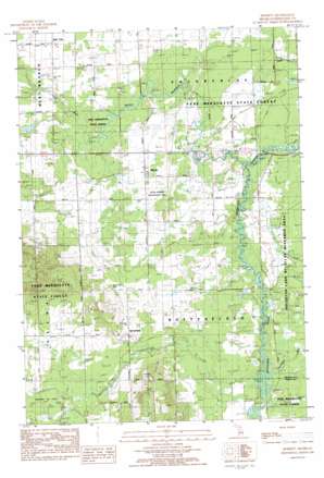 Merritt USGS topographic map 44084c8