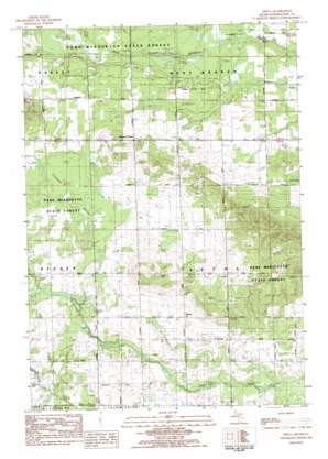 Dinca USGS topographic map 44085c1