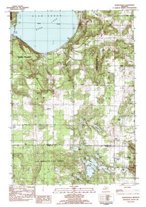 Burdickville USGS topographic map 44085g8