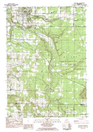 Benzonia USGS topographic map 44086e1