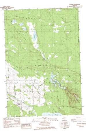 Manning USGS topographic map 45084e3