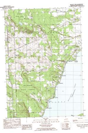 Mullett Lake USGS topographic map 45084e5