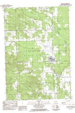 Pellston USGS topographic map 45084e7