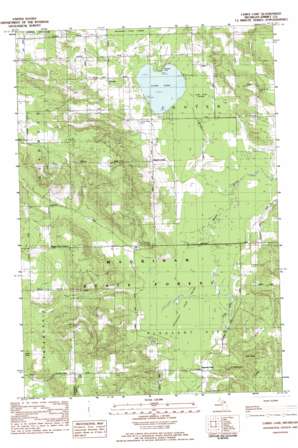 Larks Lake USGS topographic map 45084e8