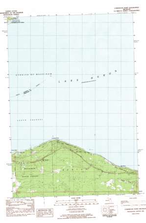 Cordwood Point USGS topographic map 45084f3