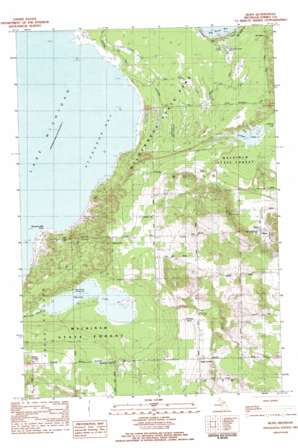 Bliss topo map