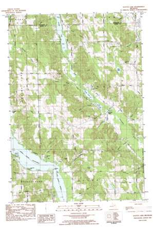 Scotts Lake USGS topographic map 45085a2