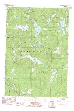 Lake Mitigwaki USGS topographic map 46088c8