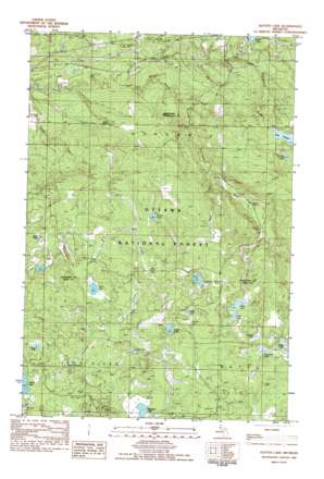 Glitter Lake USGS topographic map 46088d7