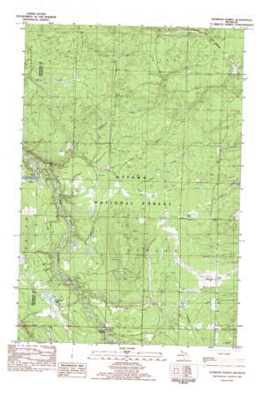 Sparrow Rapids USGS topographic map 46088e8