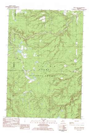 Vista Falls USGS topographic map 46088f7