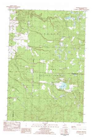 Rousseau USGS topographic map 46088f8