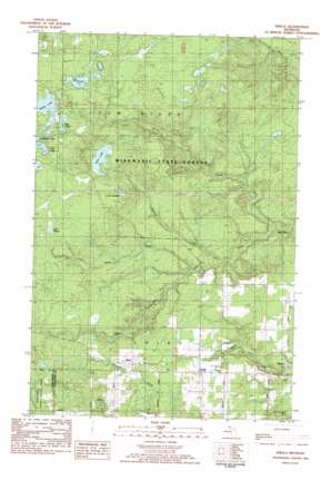 Nisula USGS topographic map 46088g7