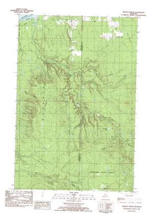 Winona South USGS topographic map 46088h8