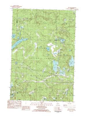 Watersmeet USGS topographic map 46089c3