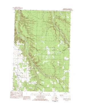 Ontonagon USGS topographic map 46089e1