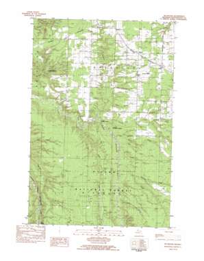 McKeever USGS topographic map 46089f1