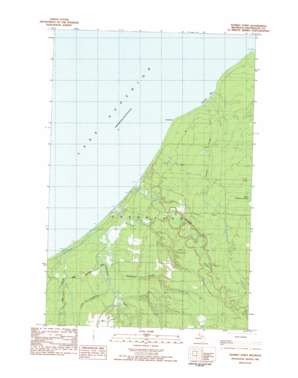Tenmile Point USGS topographic map 46089h2