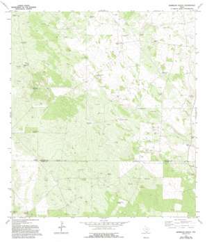Borregos Ranch USGS topographic map 26098g6