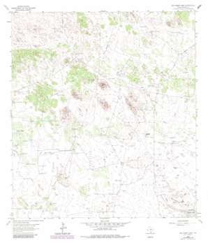 San Tomas Camp USGS topographic map 26098h1