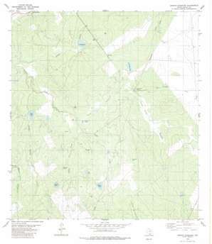 Arroyo Huisache USGS topographic map 26099h1