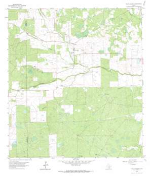 Palito Blanco USGS topographic map 27098e2